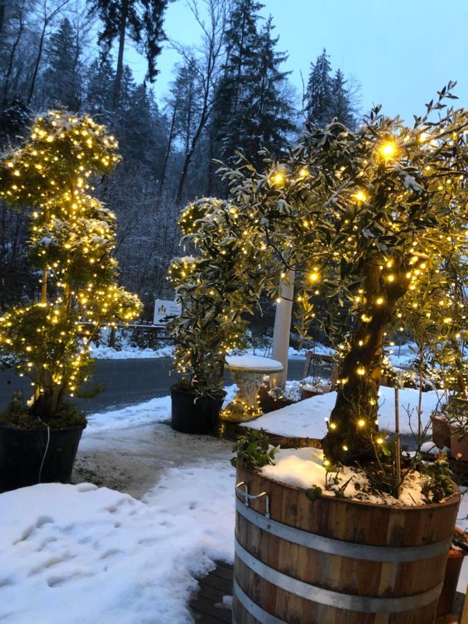 Swiss Star Home Illnau-Effretikon Eksteriør billede
